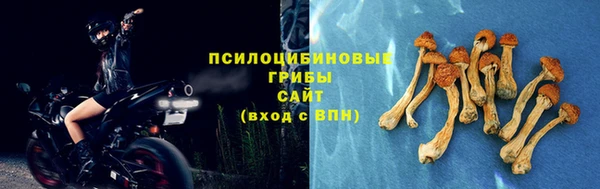 а пвп мука Балахна